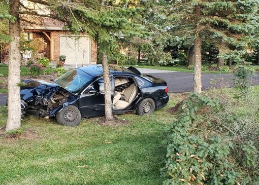 آیا بیمه خودرو خسارت برخورد با درخت را پوشش می‌دهد؟